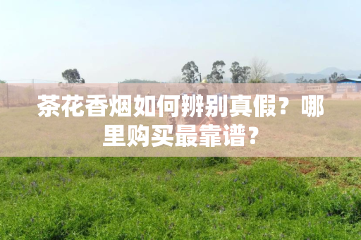 茶花香烟如何辨别真假？哪里购买最靠谱？